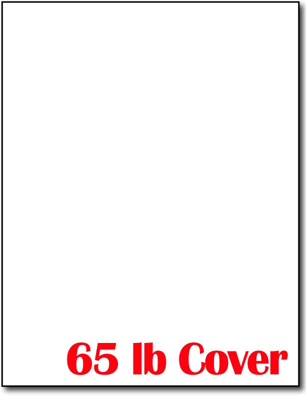 250 Bright White Tri-fold Brochure Paper - 65lb Cover (177 GSM